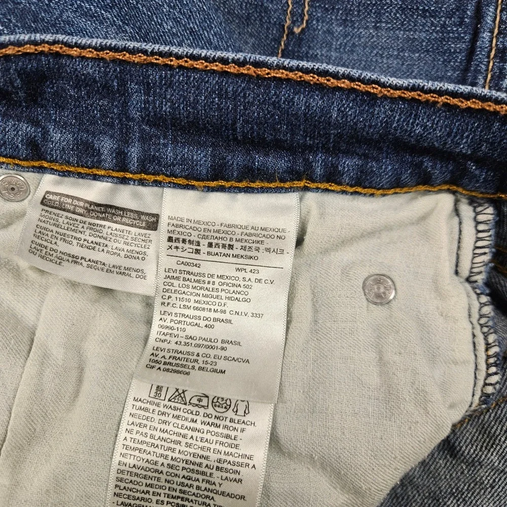 Levis levis 559